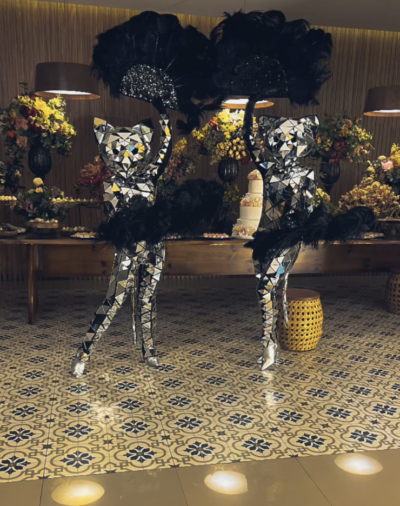 gatas espelhadas combo dupla