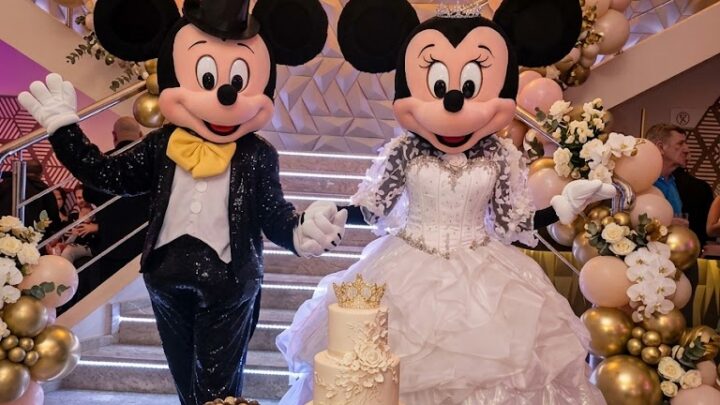 VIVAMAIS-MICKEY-MINNIE-LUXO-NOVO