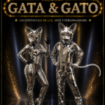 Gata e Gato Espelhados