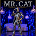Mr. Cat Espelhado