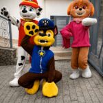 Patrulha Canina - Festa Infantil