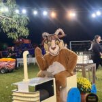 Touro Ferdinando — Personagem para Festas