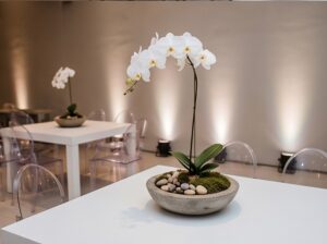 Buffet Studio Aura