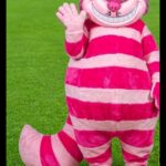 Gato Listrado Rosa — Personagem para Eventos GO