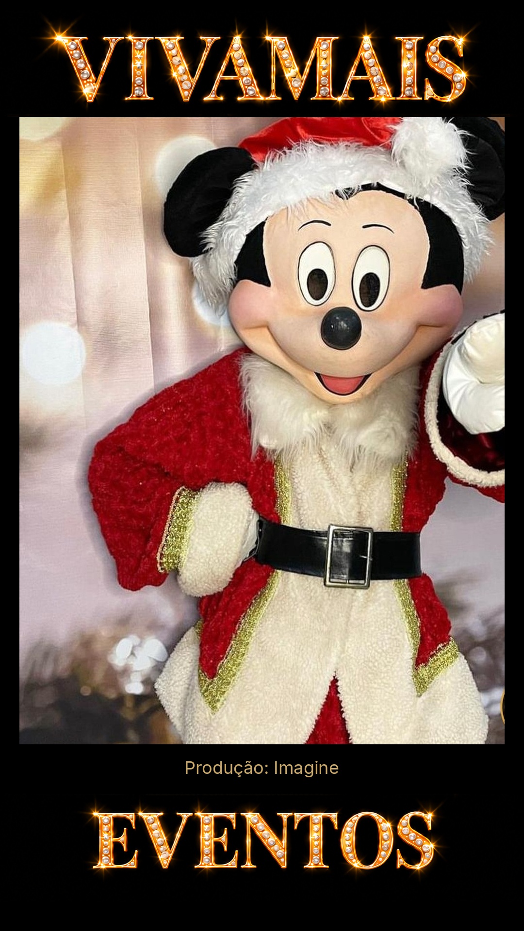 Mundo dos Mascotes Natalinos — Personagens para Eventos GO Atração para festas — Imagine — VivaMais Eventos